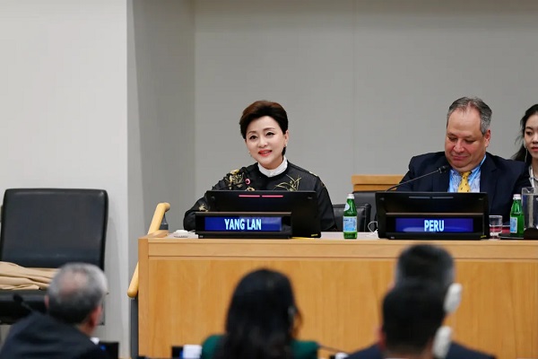 杨澜副理事长在联合国文明对话国际日作主题发言，谈“中华造物智慧”