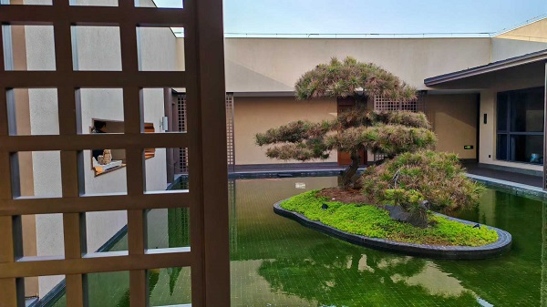 调研卓越中学发言整理