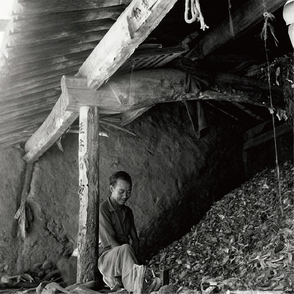 河北老子号——谷氏香  一带一路 丝路文化  非遗传承  老字号品牌