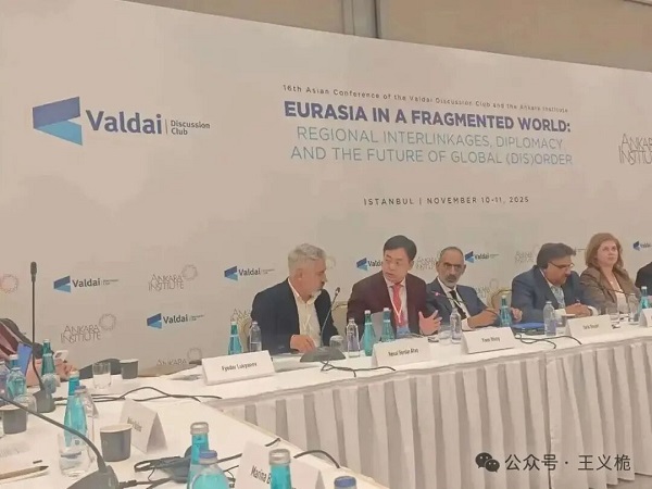 我的2025｜与祖国同频，与时代共进   一带一路  丝路文化  王义桅 十四五  十五五  