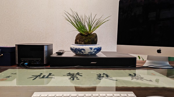 《石上菖蒲》 丝路文化 乡村振兴  文化艺术  