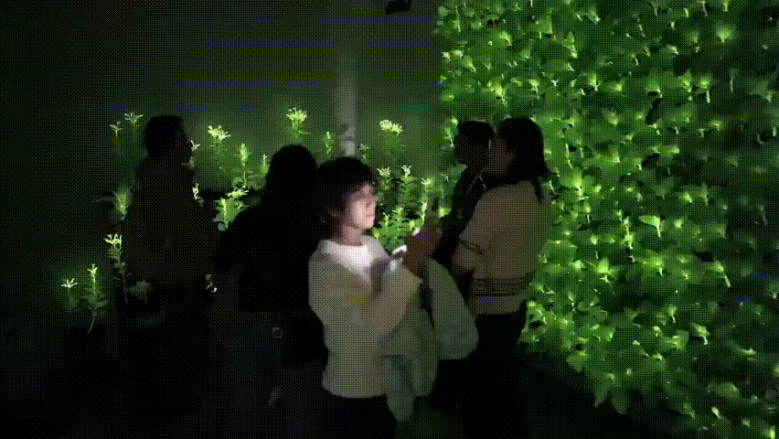 神笔生物:从点亮中关村论坛开始,迈向三个万亿产业赛道 一带一路 丝路文旅 丝路文化 疗愈经济 神笔生物 发光植物 2026中关村论坛年会 神笔生物:从点亮中关村论坛开始,迈向三个万亿产业赛道 一带一路 丝路文旅 丝路文化 疗愈经济 神笔生物 发光植物 2026中关村论坛年会