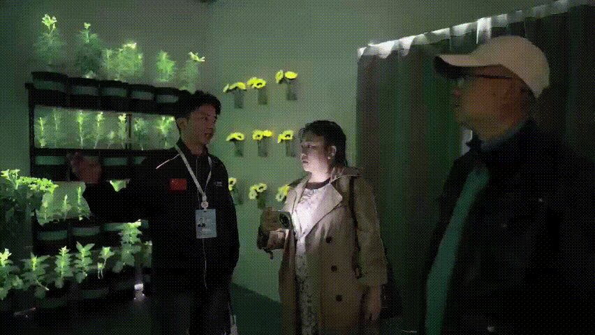 神笔生物:从点亮中关村论坛开始,迈向三个万亿产业赛道 一带一路 丝路文旅 丝路文化 疗愈经济 神笔生物 发光植物 2026中关村论坛年会 神笔生物:从点亮中关村论坛开始,迈向三个万亿产业赛道 一带一路 丝路文旅 丝路文化 疗愈经济 神笔生物 发光植物 2026中关村论坛年会