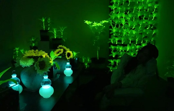 中国工业报社与神笔生物共探科技文旅新路径 助力发光植物技术拓展应用场景  丝路文旅 神笔生物  科技文旅  中国工业报社  一带一路  