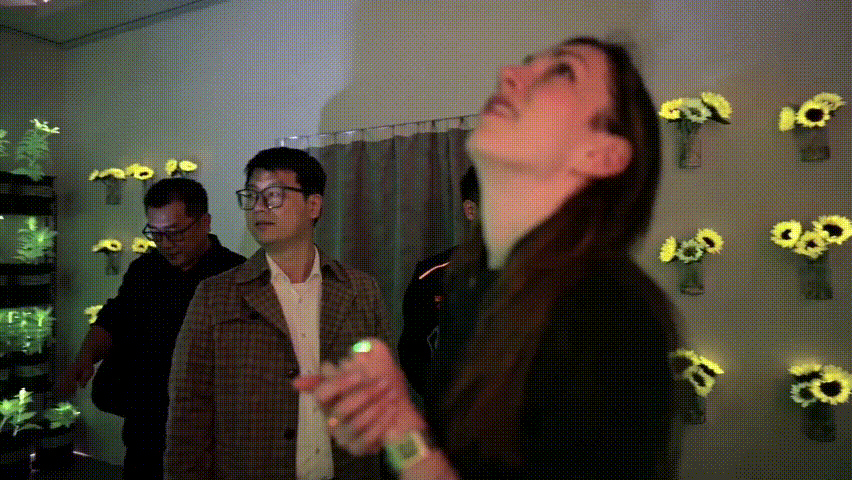 中国工业报社与神笔生物共探科技文旅新路径 助力发光植物技术拓展应用场景  丝路文旅 神笔生物  科技文旅  中国工业报社  一带一路  