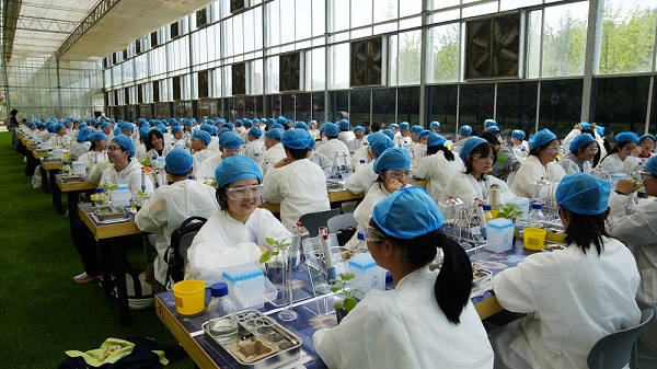 《合成生物学走进中学课堂，合肥“发光生物”研学课程受热捧》  一带一路  丝路文旅  神笔生物  研学课堂  合成生物学