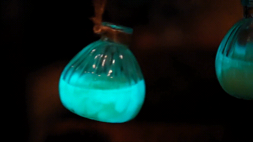  神笔生物：从点亮中关村论坛开始，迈向三个万亿产业赛道 一带一路 丝路文旅 丝路文化 疗愈经济 神笔生物 发光植物 2026中关村论坛年会 